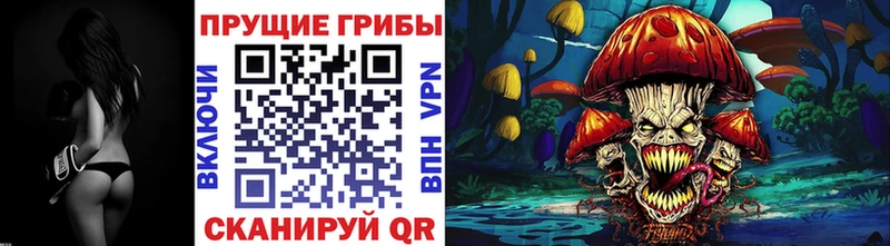 закладка  Мирный  Галлюциногенные грибы GOLDEN TEACHER 